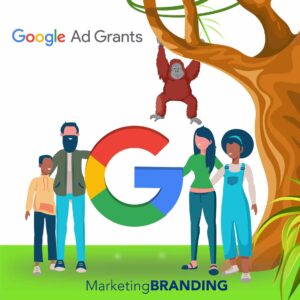 google ad grants espainia, google ad grants